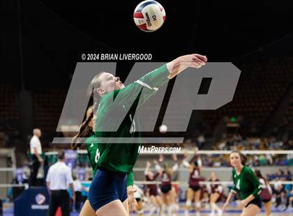 Thumbnail 1 in Mountain Vista vs. Pine Creek (CHSAA 5A Round 2) photogallery.