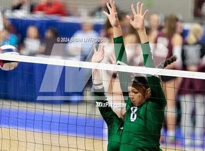 Thumbnail 3 in Mountain Vista vs. Pine Creek (CHSAA 5A Round 2) photogallery.