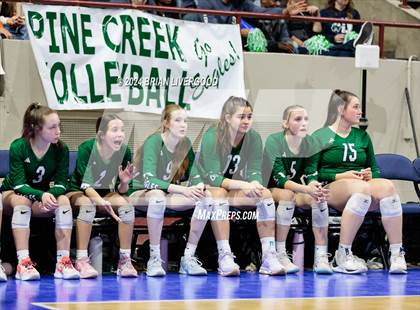 Thumbnail 3 in Mountain Vista vs. Pine Creek (CHSAA 5A Round 2) photogallery.