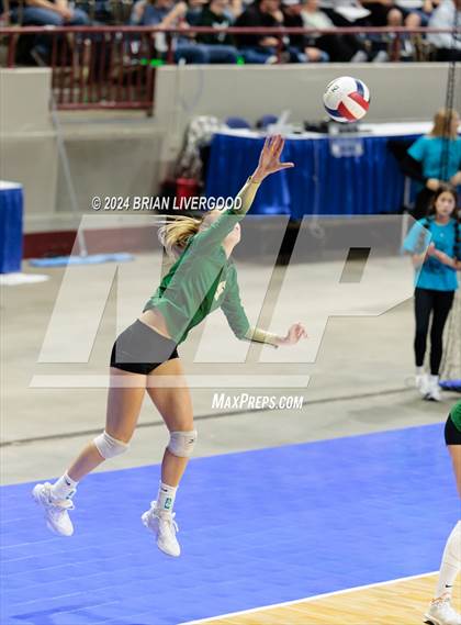 Thumbnail 2 in Mountain Vista vs. Pine Creek (CHSAA 5A Round 2) photogallery.