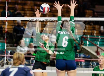 Thumbnail 3 in Mountain Vista vs. Pine Creek (CHSAA 5A Round 2) photogallery.