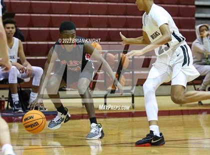 Thumbnail 3 in Pasco @ Wiregrass Ranch photogallery.