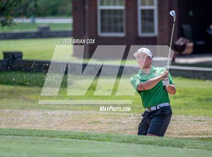Thumbnail 3 in Harrison Invite photogallery.