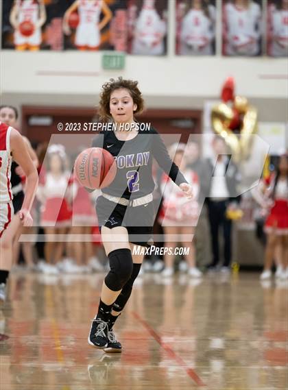 Thumbnail 2 in Tokay @ Lodi photogallery.