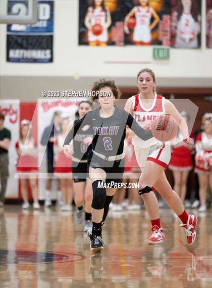Thumbnail 1 in Tokay @ Lodi photogallery.