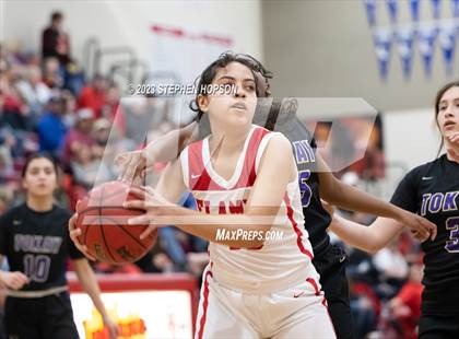 Thumbnail 3 in Tokay @ Lodi photogallery.
