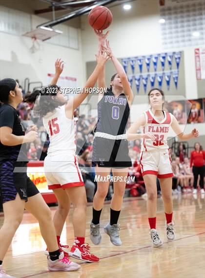 Thumbnail 2 in Tokay @ Lodi photogallery.