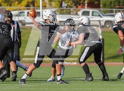 Thumbnail 3 in Vista Ridge @ Palmer photogallery.