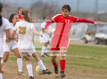 Thumbnail 1 in Venice @ Arvin (CIF D5 Regional Final) photogallery.