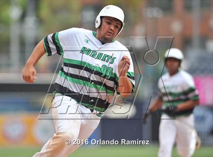 Thumbnail 1 in Lincoln vs El Cajon Valley (Petco Park) photogallery.