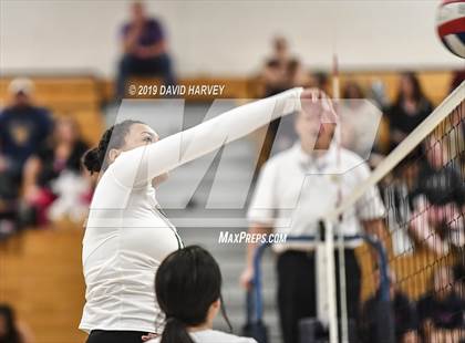 Thumbnail 3 in Bear Creek @ Columbine photogallery.