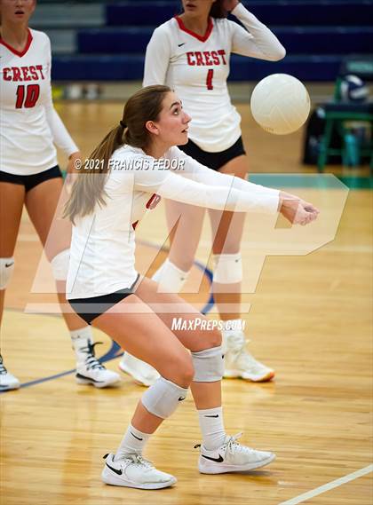 Thumbnail 1 in Strawberry Crest @ Sumner photogallery.