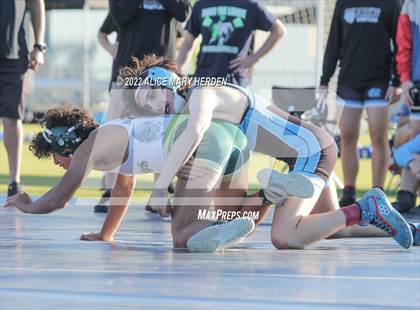 Thumbnail 1 in Under the Lights Dual @ Central photogallery.