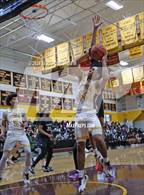 Photo from the gallery "Garfield @ O'Dea"