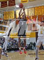 Photo from the gallery "Garfield @ O'Dea"