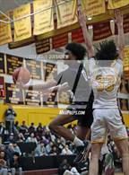 Photo from the gallery "Garfield @ O'Dea"
