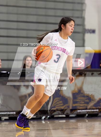 Thumbnail 1 in Birmingham vs. Vanden (Tarkanian Classic) photogallery.