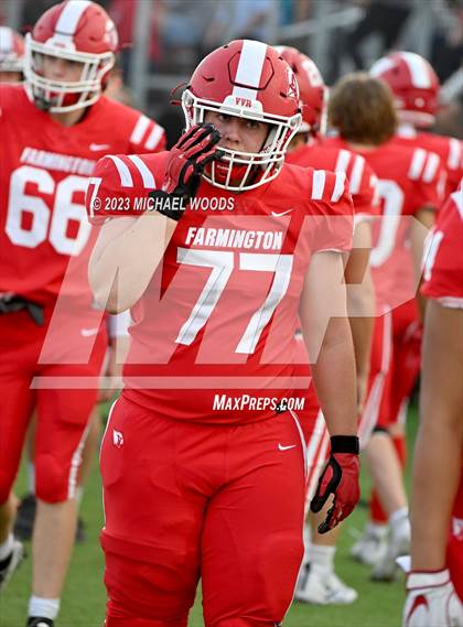 Thumbnail 3 in Rogers @ Farmington photogallery.