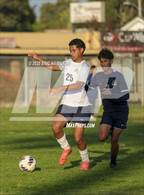 Photo from the gallery "Environmental Charter @ Lennox Academy"