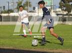 Photo from the gallery "Environmental Charter @ Lennox Academy"