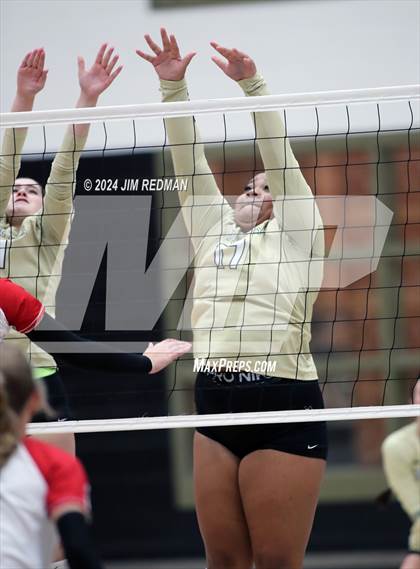 Thumbnail 3 in Tyler Legacy @ Royse City photogallery.