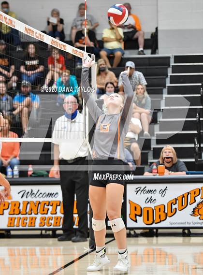 Thumbnail 1 in Argyle @ Springtown photogallery.