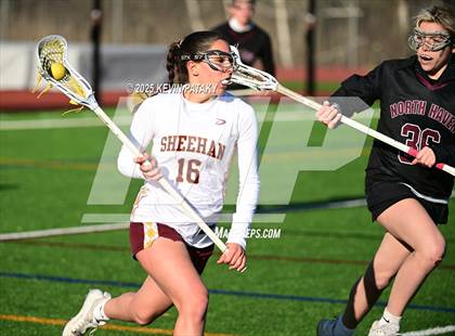 Thumbnail 1 in North Haven @ Sheehan photogallery.
