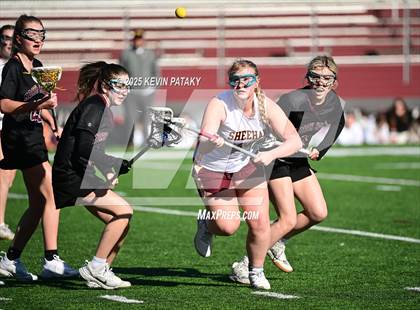 Thumbnail 3 in North Haven @ Sheehan photogallery.