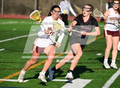 Thumbnail 2 in North Haven @ Sheehan photogallery.