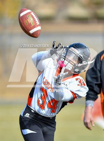 Thumbnail 3 in Wells @ Virginia City (NIAA 1A League Playoff) photogallery.