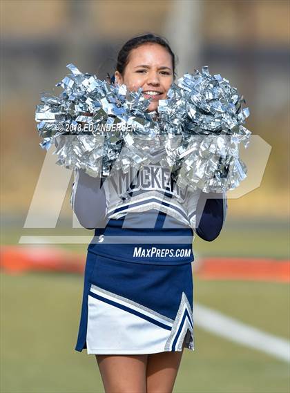 Thumbnail 1 in Wells @ Virginia City (NIAA 1A League Playoff) photogallery.