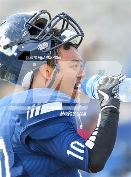 Thumbnail 1 in Wells @ Virginia City (NIAA 1A League Playoff) photogallery.