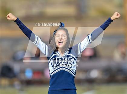 Thumbnail 1 in Wells @ Virginia City (NIAA 1A League Playoff) photogallery.