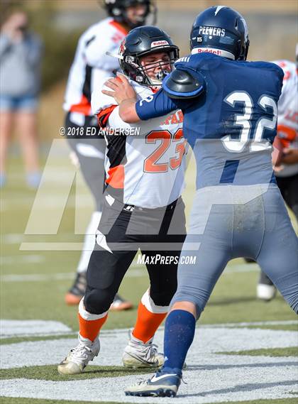 Thumbnail 1 in Wells @ Virginia City (NIAA 1A League Playoff) photogallery.