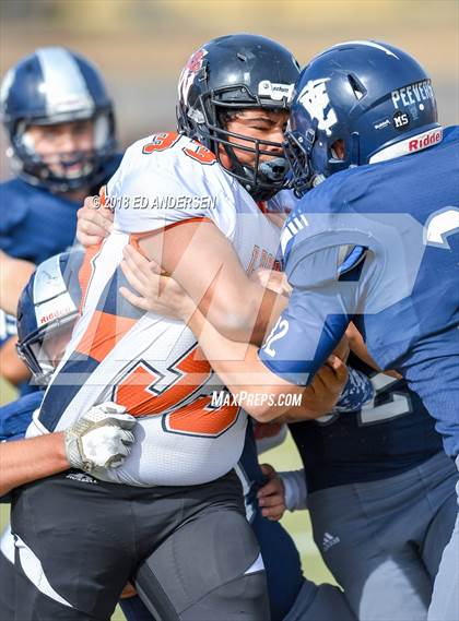 Thumbnail 1 in Wells @ Virginia City (NIAA 1A League Playoff) photogallery.