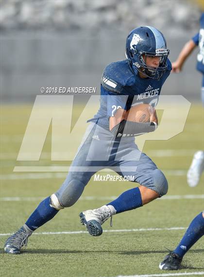 Thumbnail 2 in Wells @ Virginia City (NIAA 1A League Playoff) photogallery.