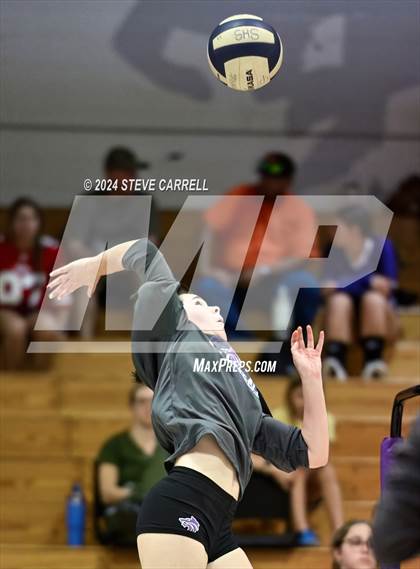 Thumbnail 1 in Central Valley @ Shasta photogallery.