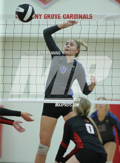 Thumbnail 2 in Sheridan @ Harmony Grove photogallery.