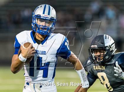 Thumbnail 3 in McCallum @ Akins photogallery.