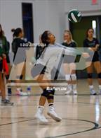 Photo from the gallery "Bear River @ Twelve Bridges"