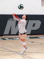 Photo from the gallery "Bear River @ Twelve Bridges"