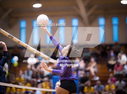 Thumbnail 3 in Jack Britt @ Cape Fear photogallery.