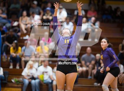 Thumbnail 3 in Jack Britt @ Cape Fear photogallery.