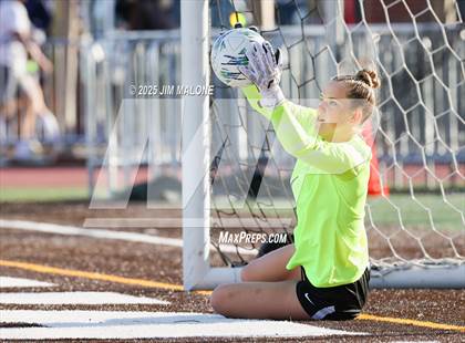 Thumbnail 3 in Amador Valley @ Saint Francis (CIF NorCal D1 SemiFinals) photogallery.