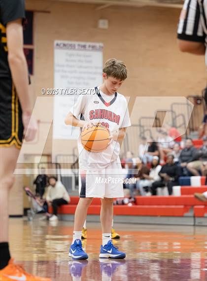 Thumbnail 3 in JV: Saguaro @ Sahuaro photogallery.