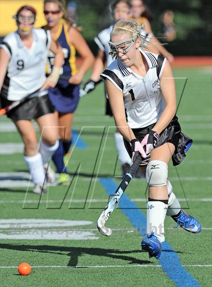 Thumbnail 3 in Northport @ Commack photogallery.