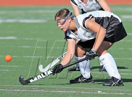 Thumbnail 1 in Northport @ Commack photogallery.