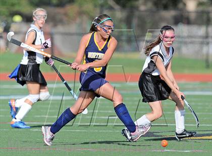 Thumbnail 2 in Northport @ Commack photogallery.