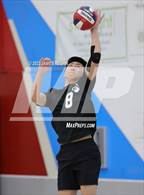 Photo from the gallery "Summit Shasta @ Hillsdale"