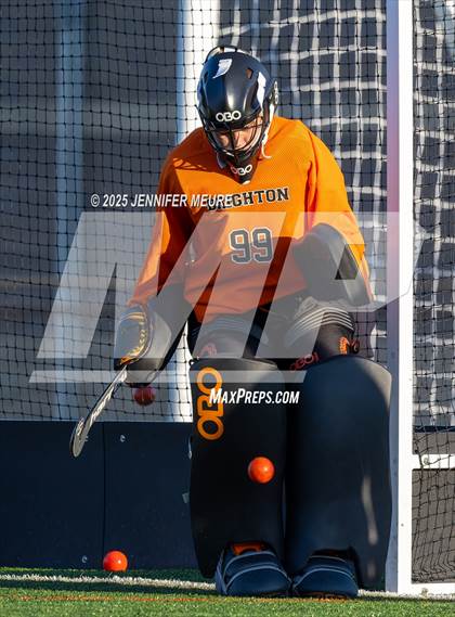 Thumbnail 2 in Novi @ Brighton photogallery.